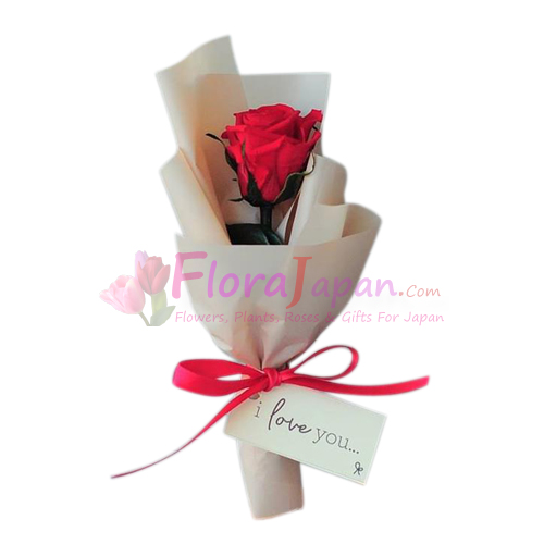 10+ Best For Gift Single Red Rose Bouquet