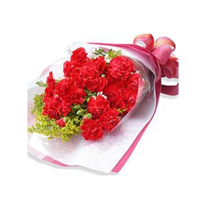 send 12 red carnations to japan