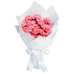 Flower Delivery in Japan Tokyo - Pink Carnations