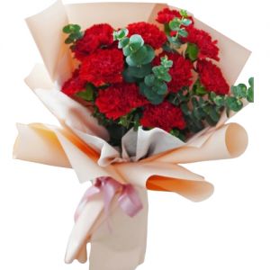 send 12 red carnations to japan