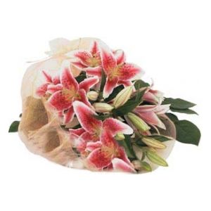 send pink lilies bouquet to japan