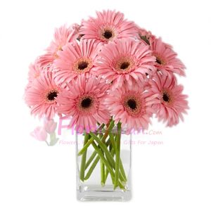 send 12 pink gerbera to japan