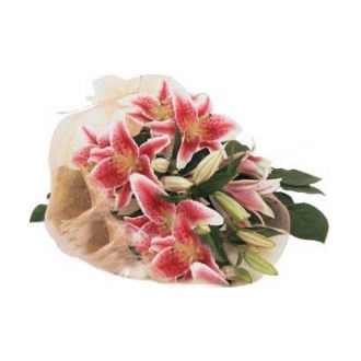 send pink lilies bouquet to japan