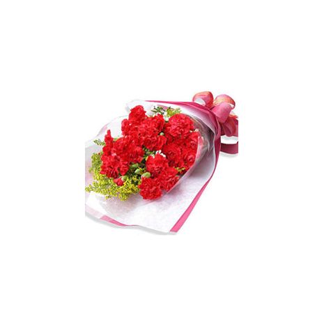 send 12 red carnations to japan
