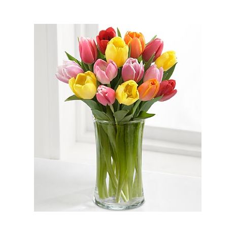 send 12 colorful mix tulip to japan