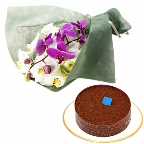 Florist in Japanese - Coffee Cake with Orchids